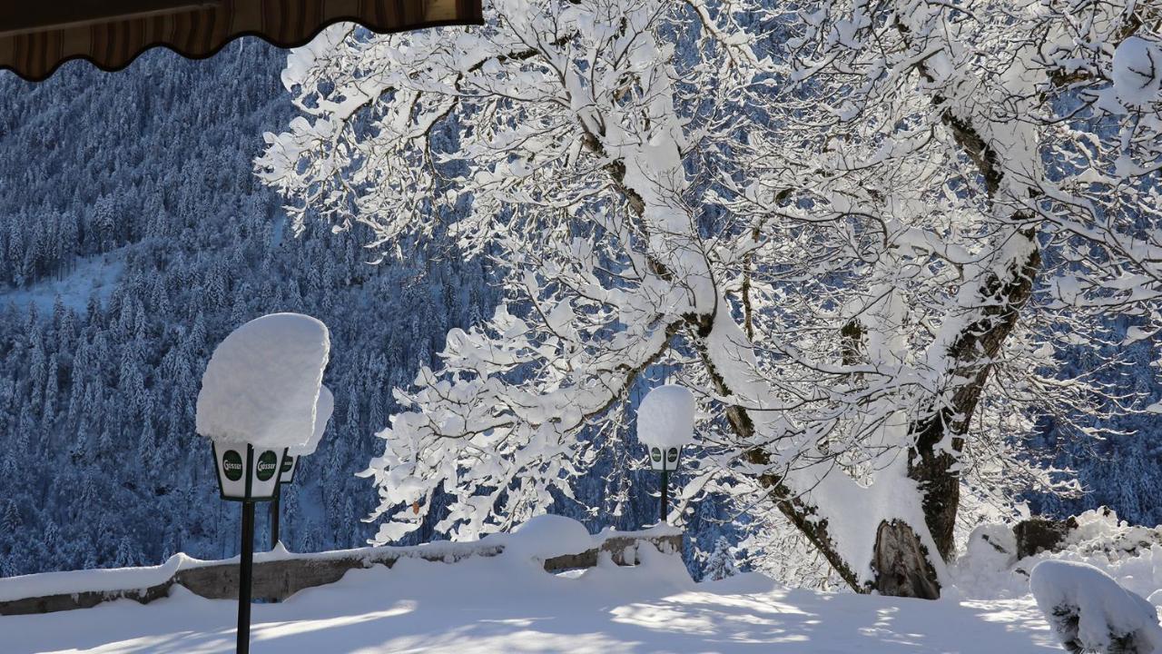 Gasthof Lamprechtbauer Kotschach-Mauthen Eksteriør bilde